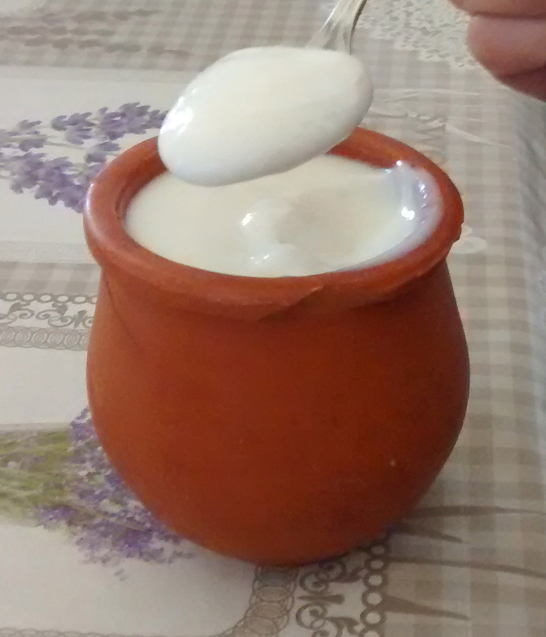 mousse limon1