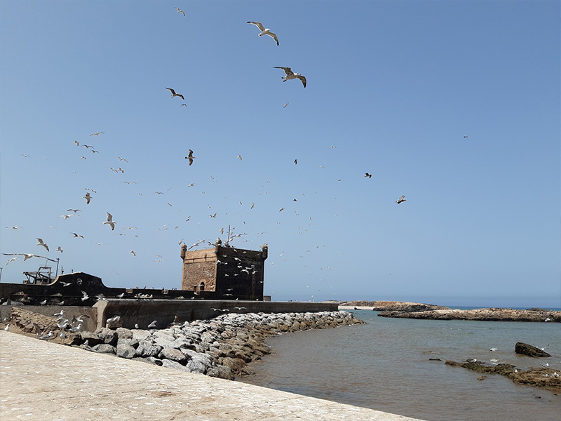 fortaleza-essaouira2