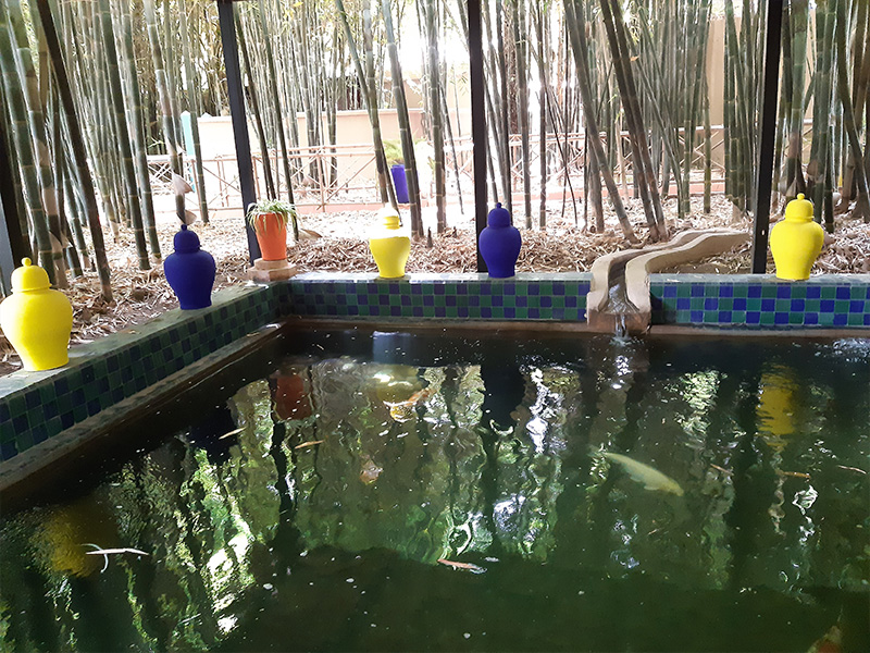 jardin_majorelle2