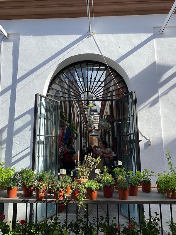 mercado-calle-feria